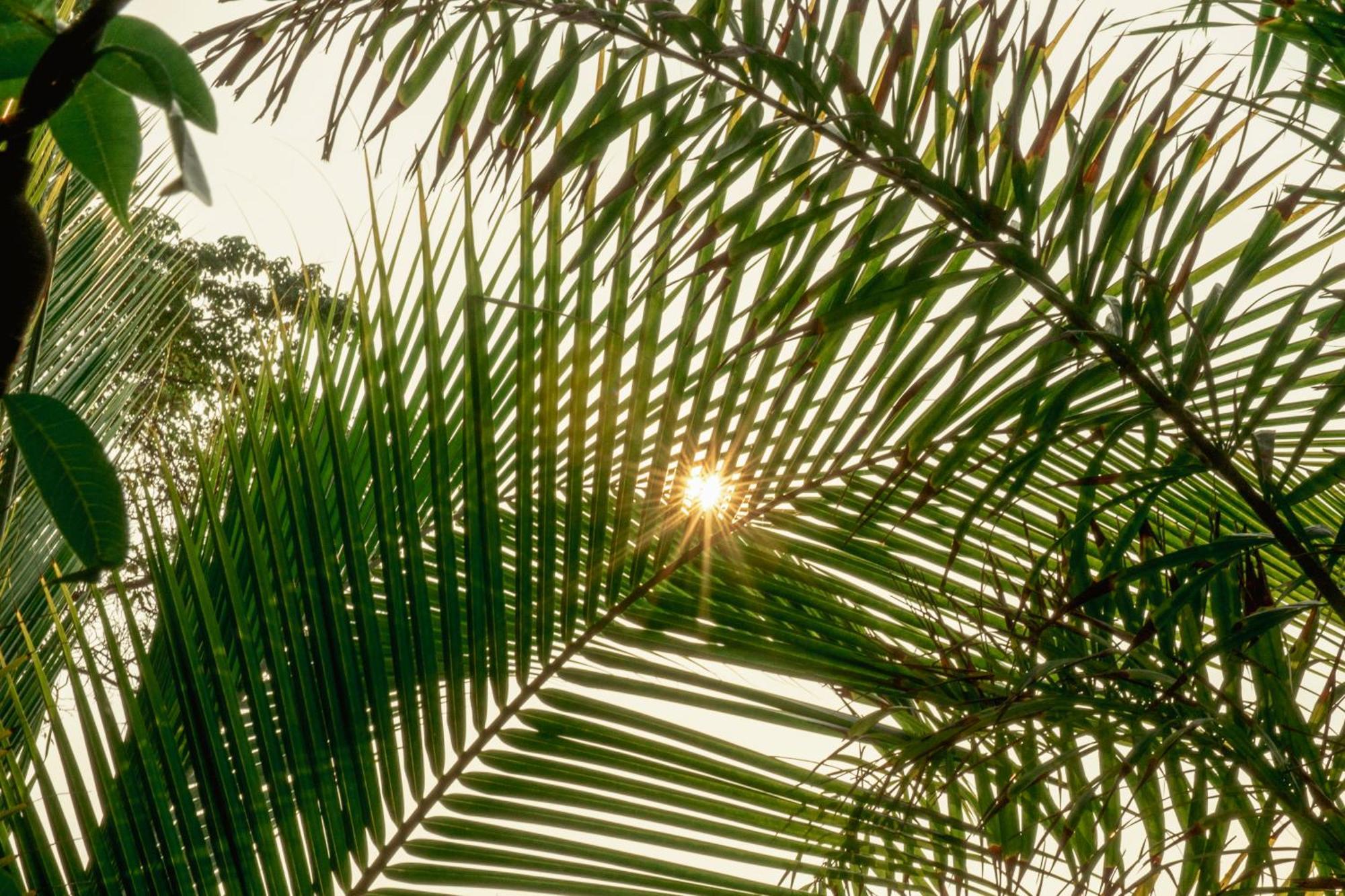 Naia - Miravalle Sonsonate Exteriér fotografie